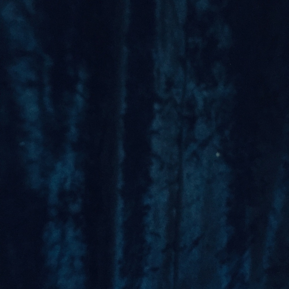 Dressmaker created midnight blue velvet gown - Picture 2 of 6